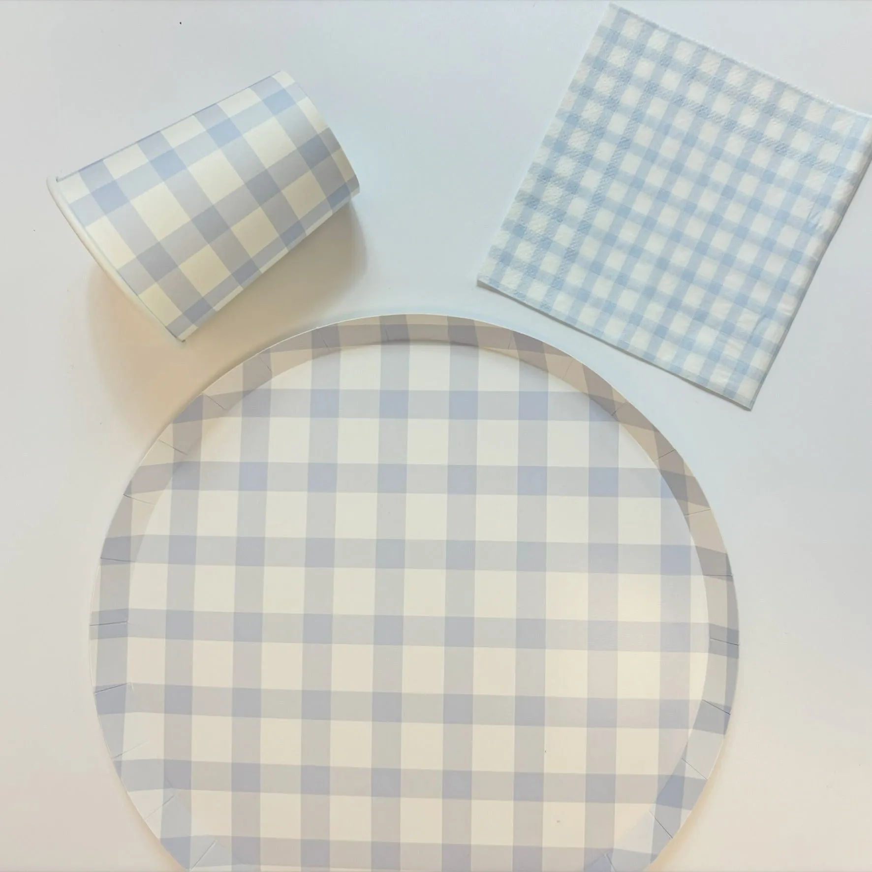 Light Blue Plaid Large Party Plates x 12