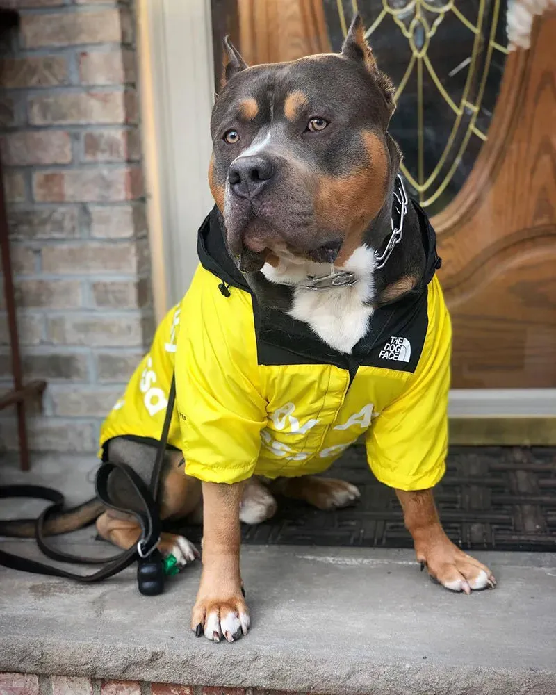 The Ultimate Dog Windbreaker